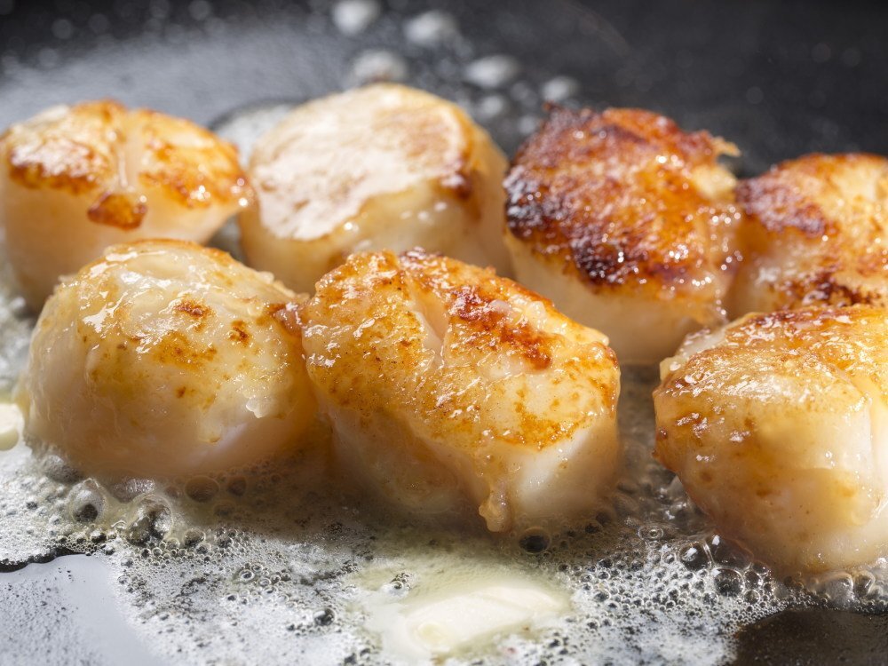 [Max]. thickness . sea purport taste! scallop . pillar SS business use 1kg