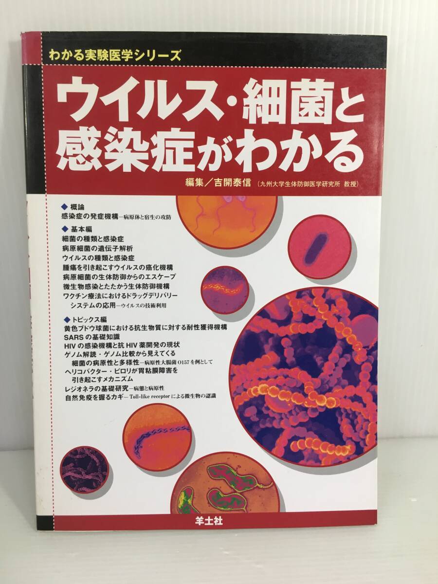 ウイルス・細菌と感染症がわかる (わかる実験医学シリーズ) 　吉開 泰信　洋土社　【D-03】_画像1