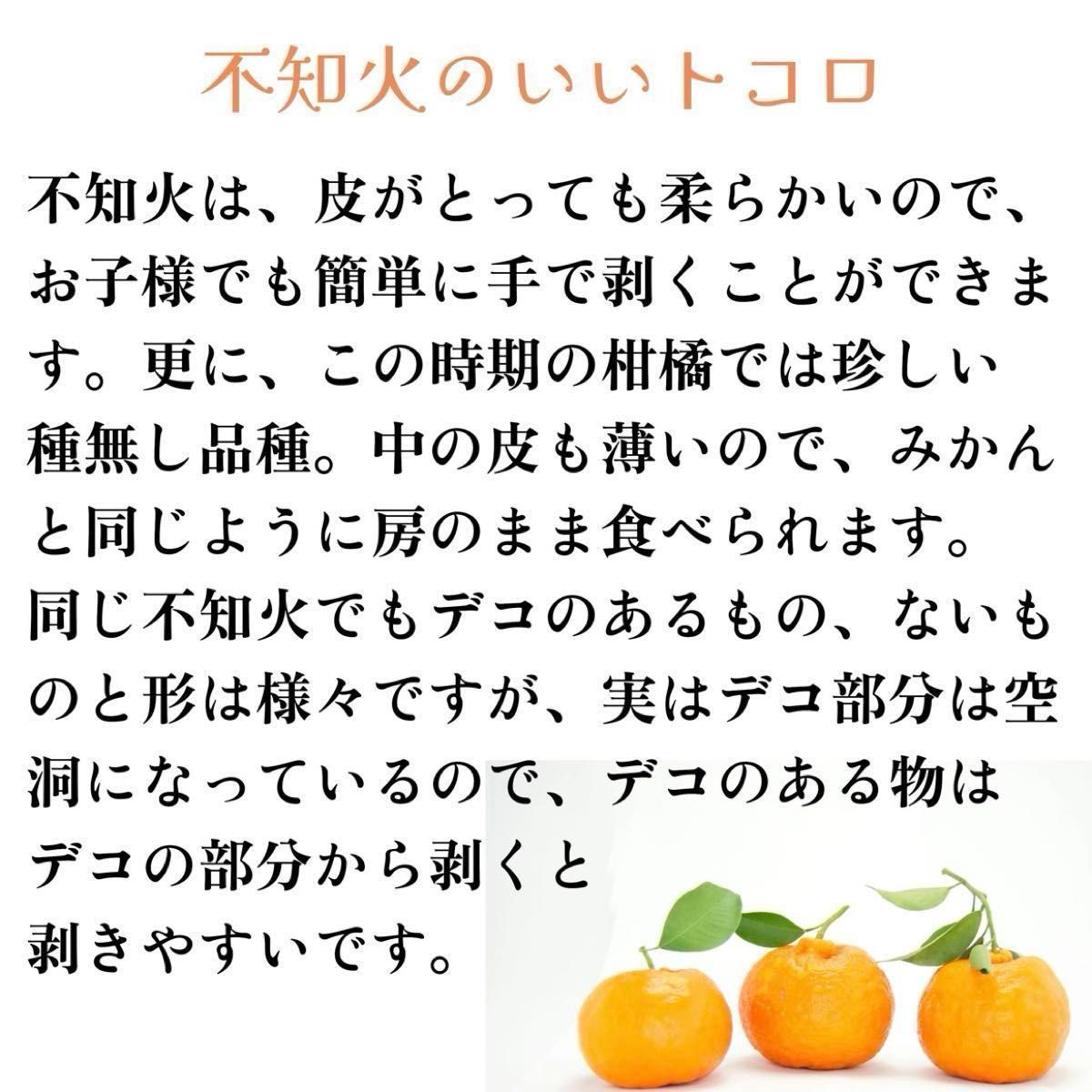 売れてます！契約農家さん直送！　予約販売　訳あり品じゃなくてこの価格！　和歌山県産　不知火　しらぬい　デコポンと同品種　約3kg