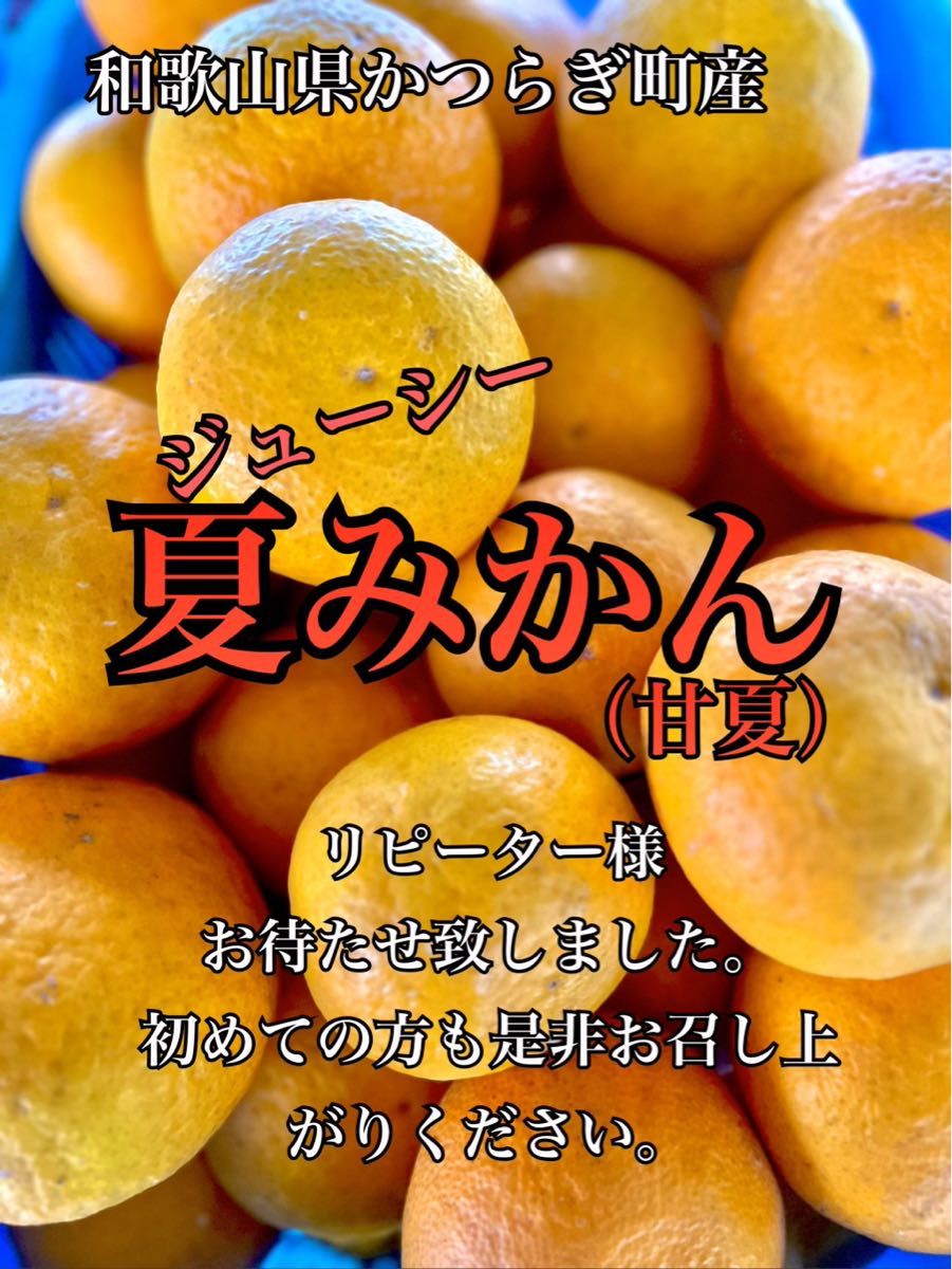 甘夏みかん  4kgセール中　ご家庭用　ビタミンC クエン酸たっぷり　美容と健康にぜひ！