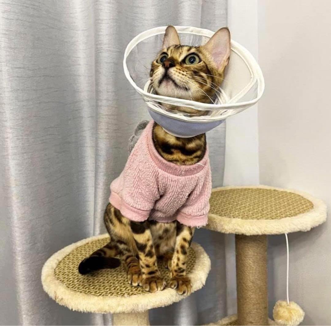 エリザベスカラー 猫 犬用 ソフト 軽量 布製 ストレス軽減 介護用品　Lサイズ_画像4