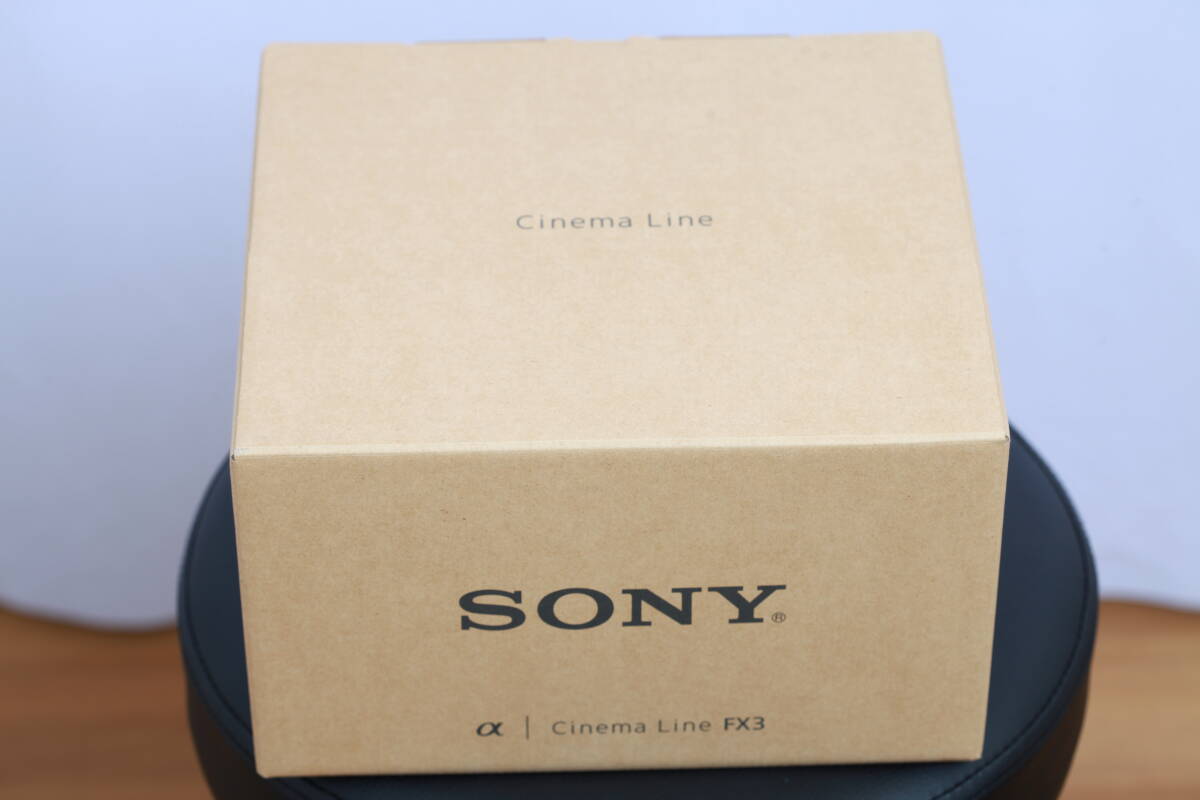SONY FX3 ILME-FX3 Cinema Line + SONY FE PZ 16-35mm F4 G SELP1635G (極上美品)の画像10