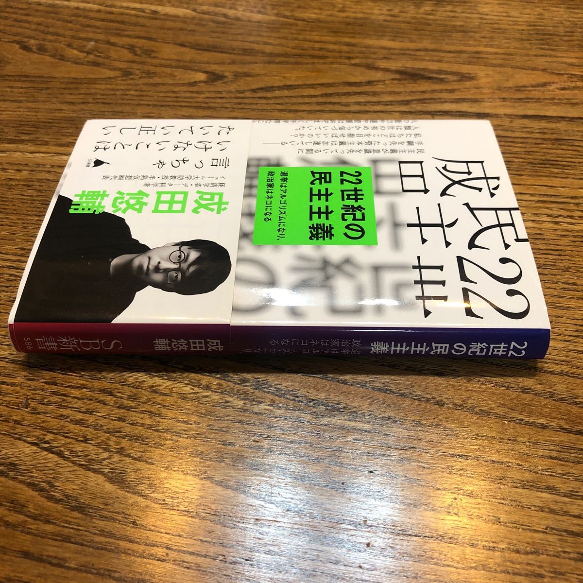 ２２世紀の民主主義　選挙はアルゴリズムになり、政治家はネコになる （ＳＢ新書　５８６） 成田悠輔／著