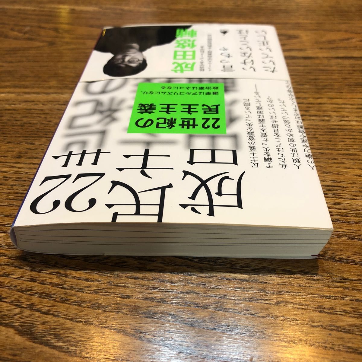 ２２世紀の民主主義　選挙はアルゴリズムになり、政治家はネコになる （ＳＢ新書　５８６） 成田悠輔／著