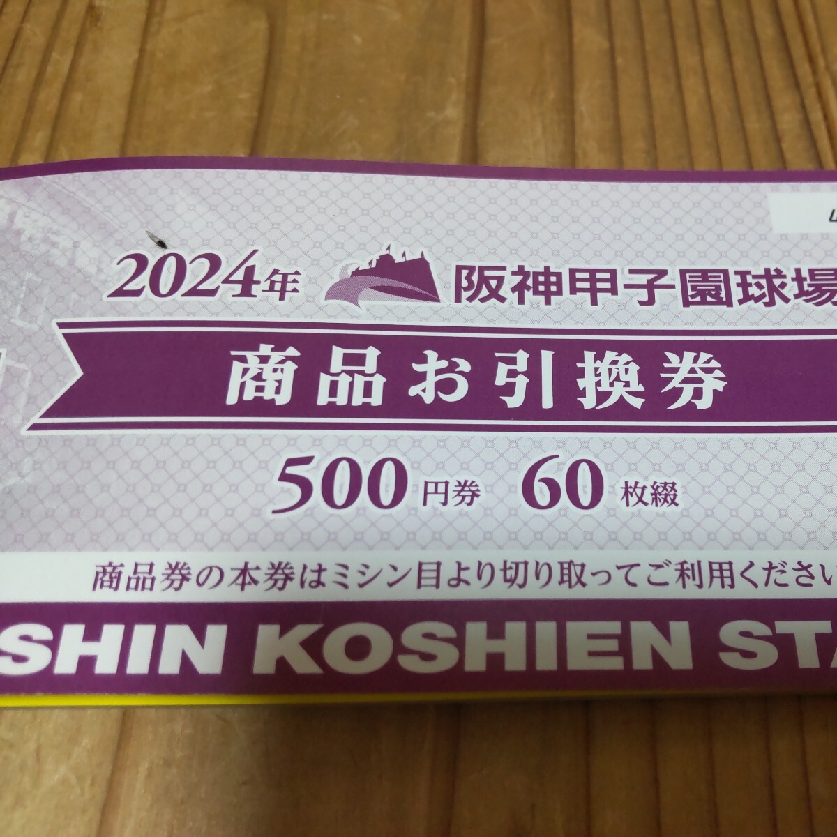  甲子園球場 商品お引換券 阪神タイガース 10枚_画像1