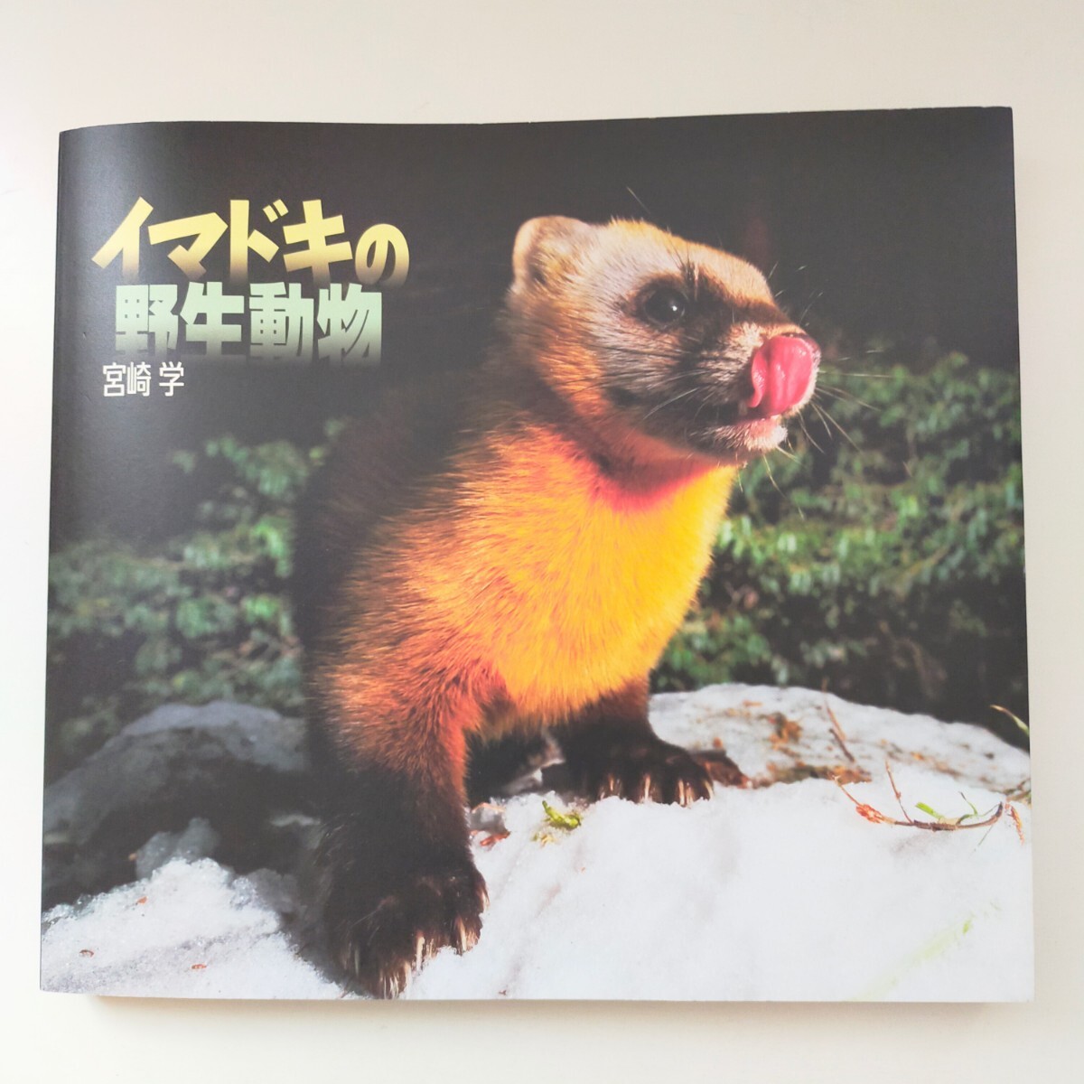 東京都写真美術館 イマドキの野生動物 宮崎学 2021年_画像1