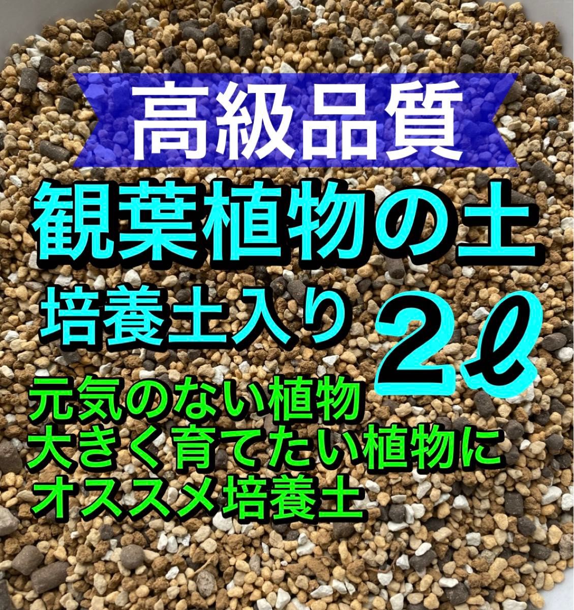 高級品質　観葉植物の土［培養土入り］2リットル●細粒●オリジナル配合土 多肉植物