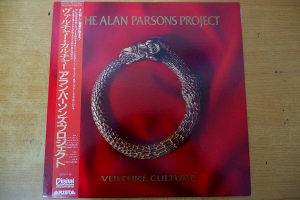 Q3-127＜帯付LP/美盤＞アラン・パーソンズ・プロジェクト / ヴァルチャー・カルチャーの画像1