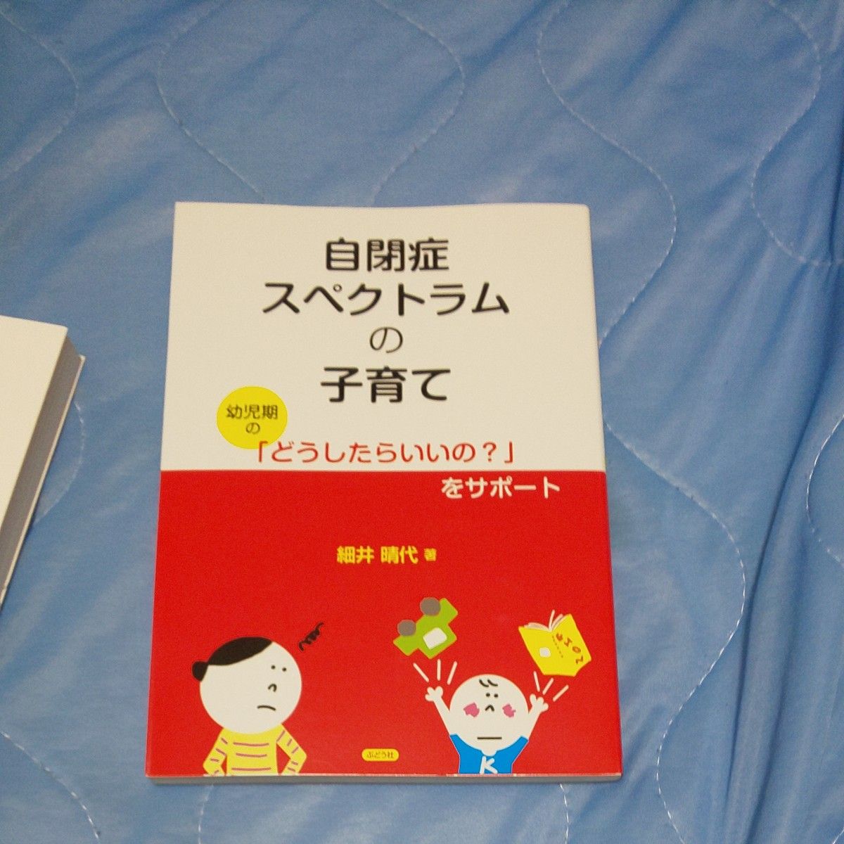 自閉症スペクトラムの子育て　幼児期の「どうしたらいいの？」をサポート 細井晴代／著