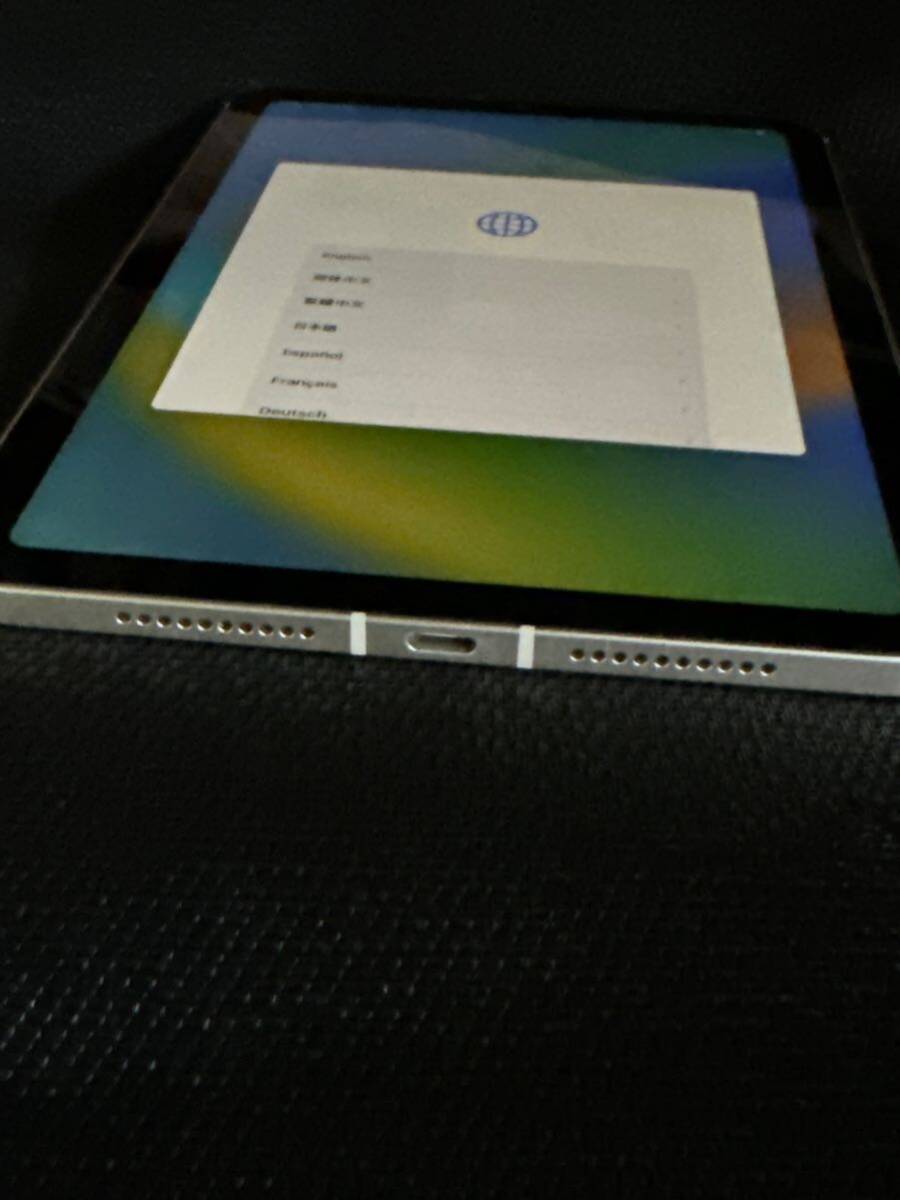 iPad mini 第６世代 256GB Wi-Fi+Cellular モデル docomo版 SIMフリー スターライト_画像10