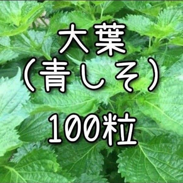 【大葉のタネ】100粒 種子 種 青じそ シソ しそ ハーブ 野菜 家庭菜園