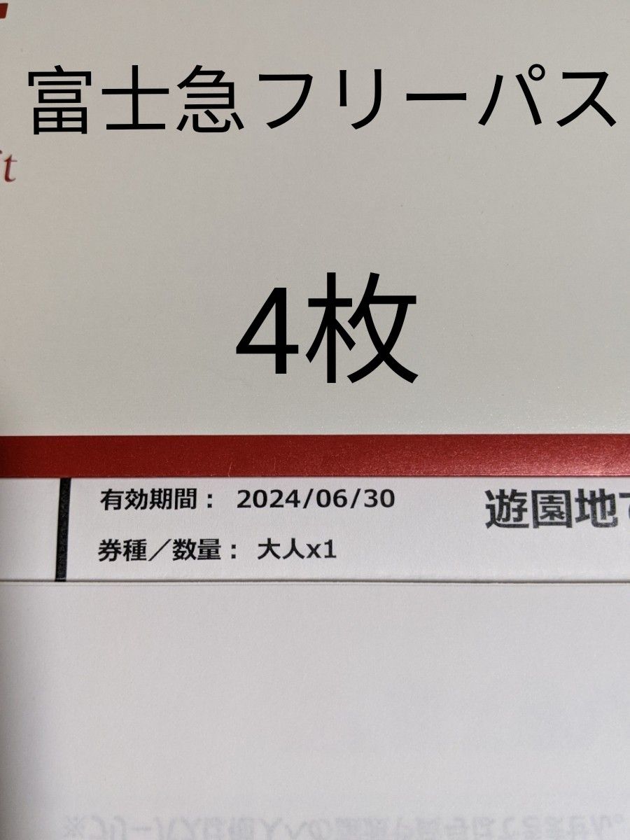 富士急ハイランド　フリーパス　4枚