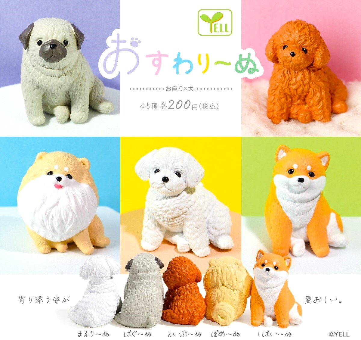 即決》お座り×犬 おすわり～ぬ【全５種フルコンプセット】送料140円～新品未開封 マルチーズ/パグ/トイプードル/ポメラニアン/柴犬 いぬ_画像2