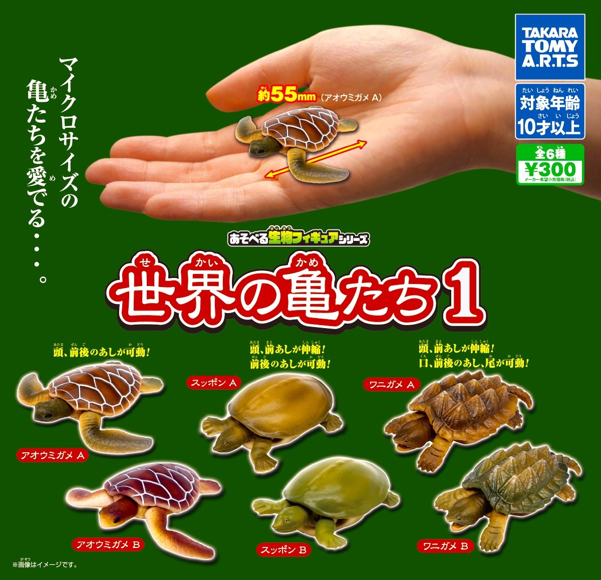 即決》あそべる生物フィギュアシリーズ 世界の亀たち１【４種セット】送料140円～新品未開封 アオウミガメA.B/スッポンA.B_画像1