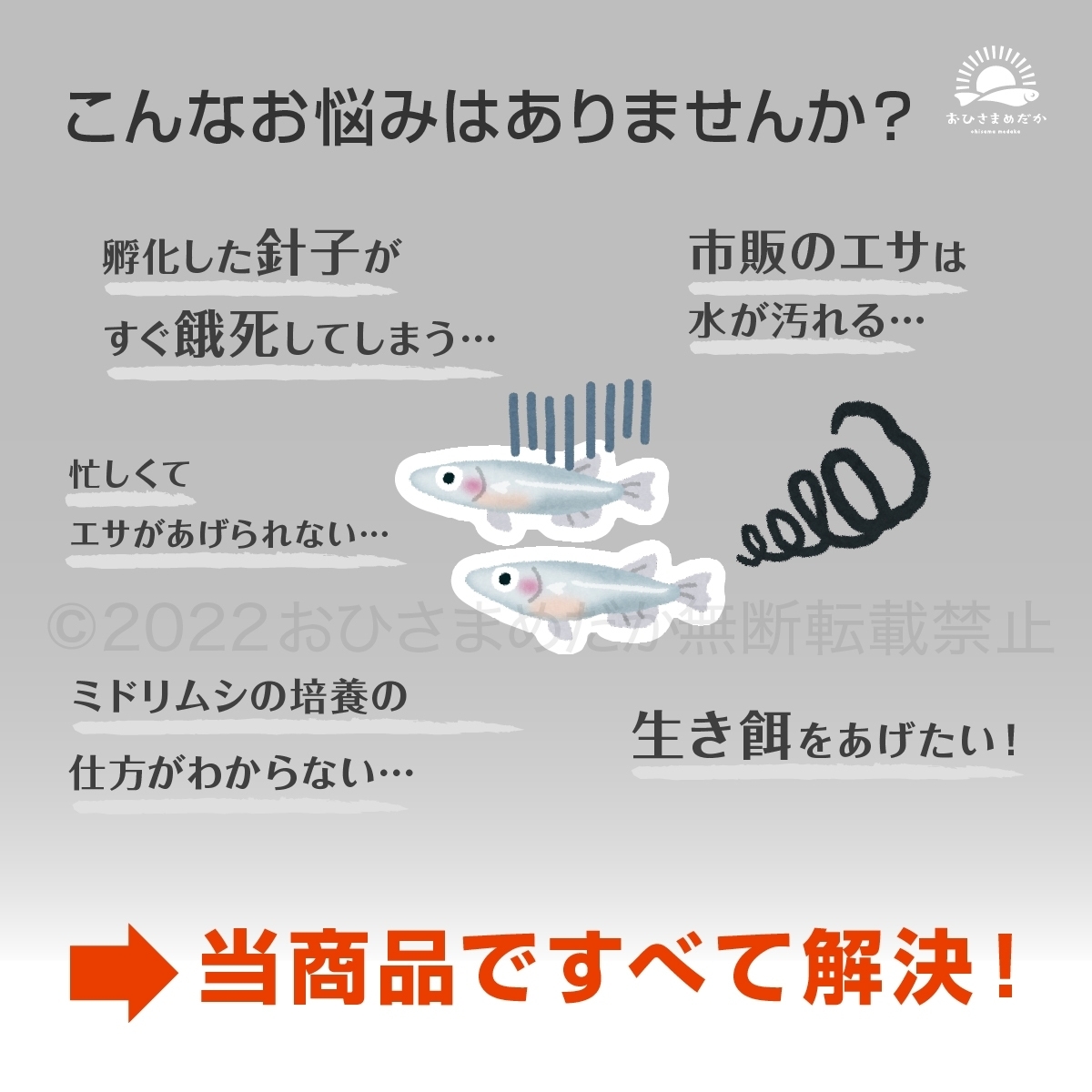 【ミドリムシ 種水 900ml 送料無料】 めだか メダカ 針子 エサ 稚魚 ベタ psb  金魚 ミジンコ クロレラ ゾウリムシ などにの画像5