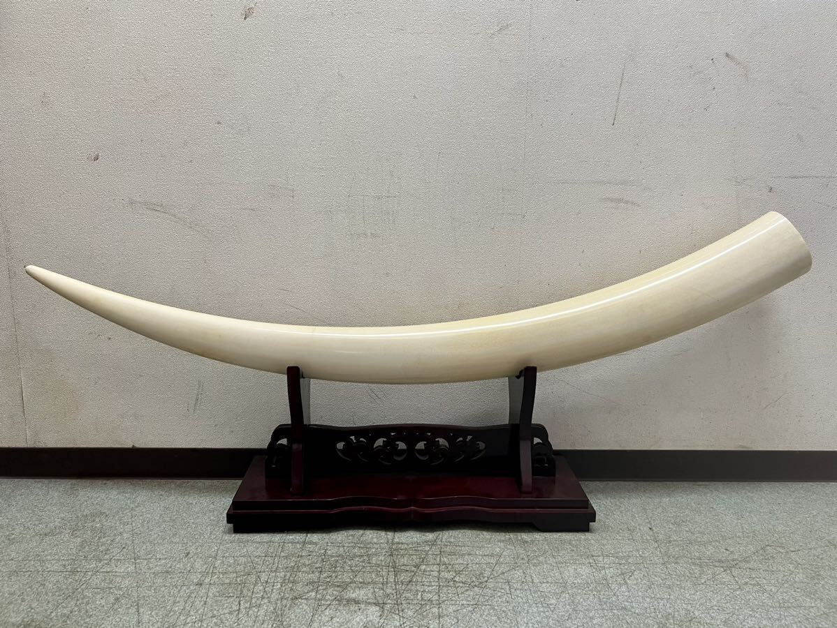 象牙風 一本牙 全長約117.5cm 重さ約10.9kg 一本物( 白材芯料 天然素材 置物 マンモス 古美術 オブジェ 時代物 の画像1