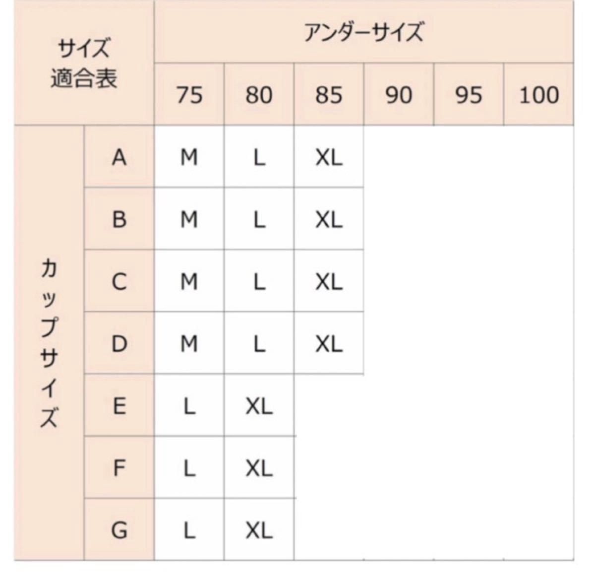 シームレスブラ スポーツブラ スポブラ ベーシック Ｌ ナイトブラ ノンワイヤー