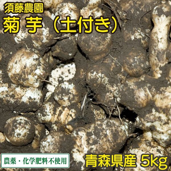 土付き 菊芋 5kg【須藤農園】農薬/化学肥料不使用の画像1