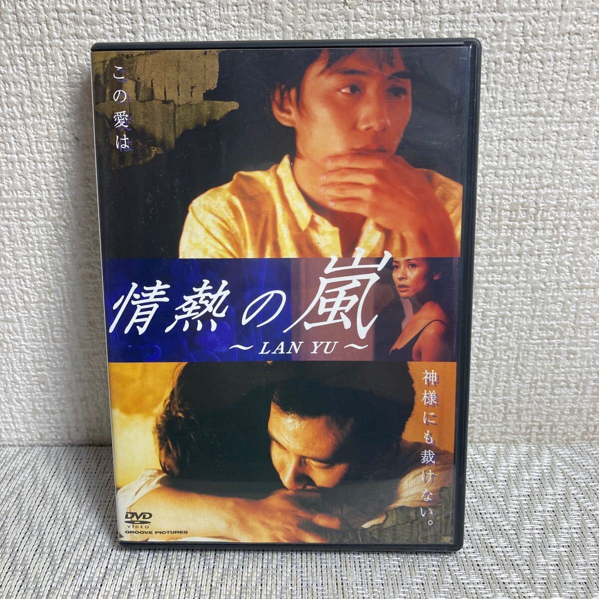香港映画セル盤DVD/情熱の嵐/LAN YU/日本市場向/日本語字幕/の画像1