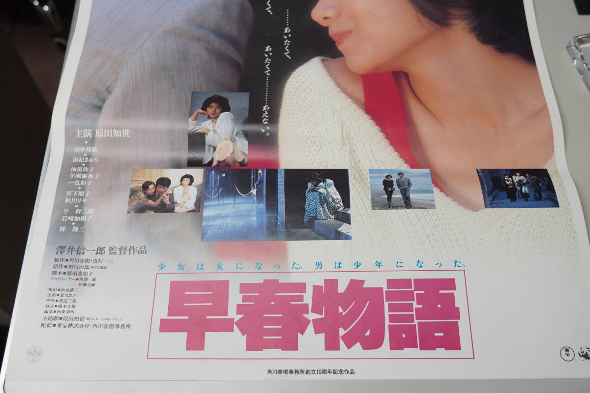 ★映画ポスター 原田知世/若山富三郎/佳那晃子『早春物語 東宝85年・斬殺せよ 切なきもの、それは愛 東映90年』B2ポスター 昭和レトロ★4_画像4