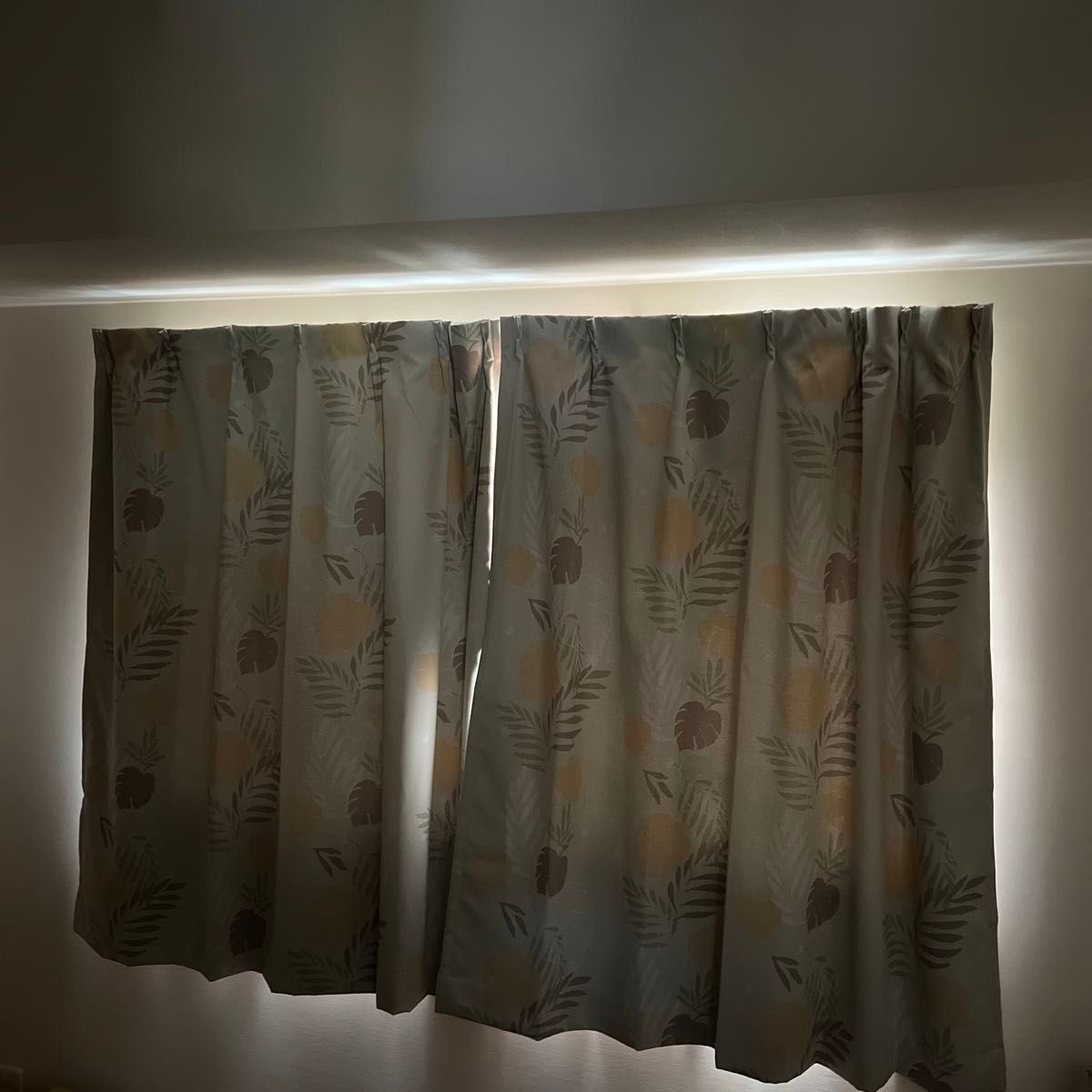 カーテン　遮光135×100