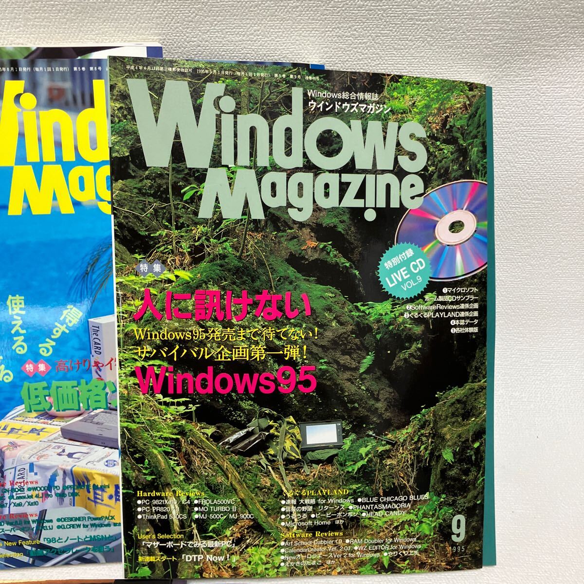 c352-28 80 雑誌 Windows Magazine ウィンドウズ 活用情報誌 パソコン まとめて インターネット マガジン 付録無し 1995年 汚れ痛み有り