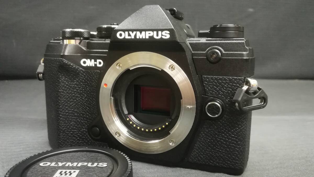 【美品♪】OLYMPUS オリンパス OM-D E-M5 Mark III ボディ 2037万画素 ミラーレス 一眼 カメラ/ブラック/動作品の画像2