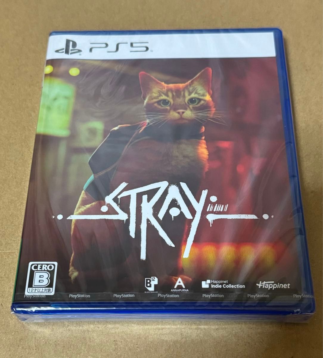 PS5 stray  ストレイ　ソフト