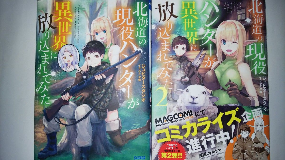 (ノベル2冊・550円均一)最強職《竜騎士》から初級職《運び屋》になったのに、なぜか勇者達から頼られてます　2・3 他 多数作品