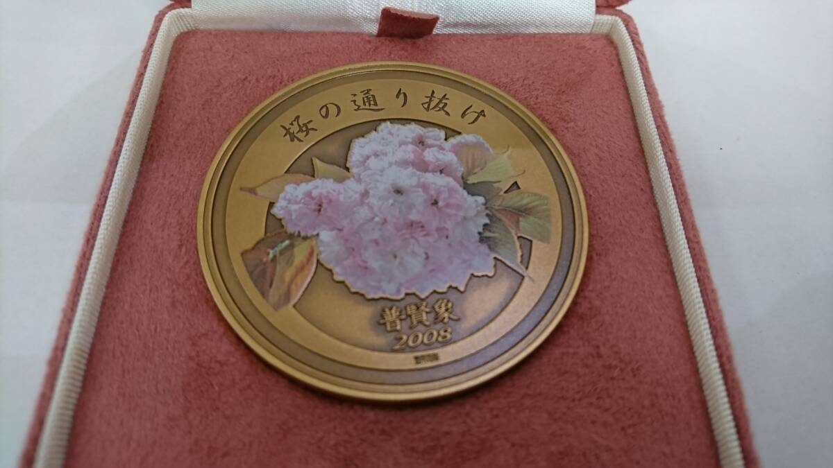 59612 桜の通り抜け 記念メダル 銅メダル 6枚セット 造幣局 平成16/19/20/21/30年 1976年 の画像8