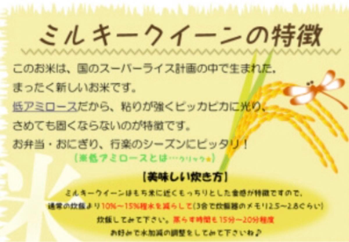 ★精米発送★減農薬栽培　令和5年産近江米　ミルキークイーン玄米20キロ分　遠赤外線乾燥　ご飯　お米　発送前精米　農家直販