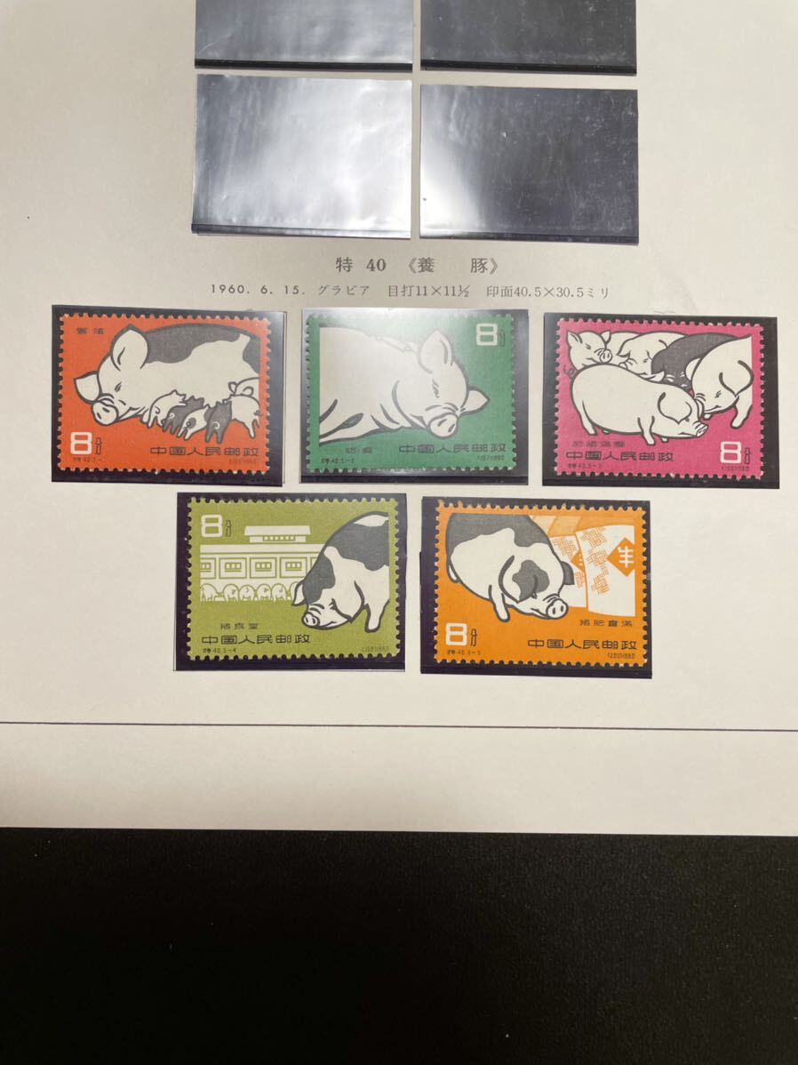 中国切手 特40 養豚 未使用 5種完の画像1