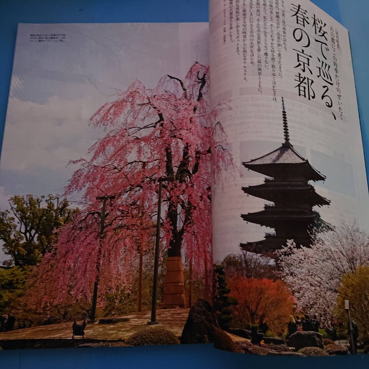 JCB THE PREMIUM 2024/3 [国内特集]桜で巡る、春の京都 [海外特集]楽園サイパンで小休止 [趣味のある休日]自分の「色」で遊ぶ_画像6