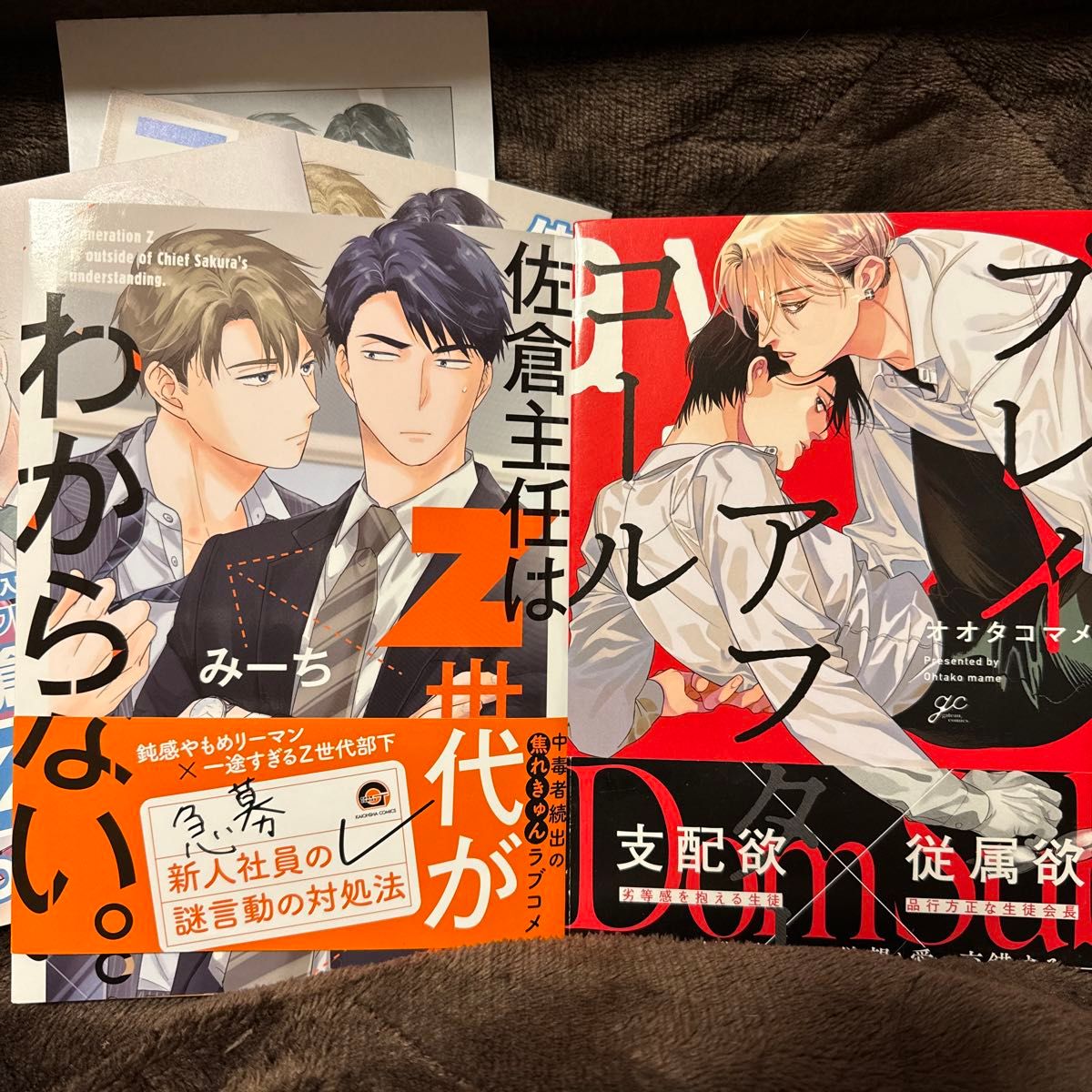 佐倉主任はZ世代がわからない。　みーち　とらのあな限定小冊子　リーフレット　プレイアフターコール　オオタコマメ　BLコミック