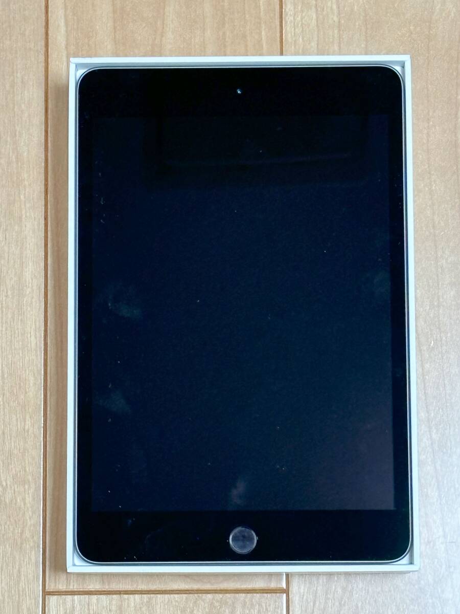 中古 iPad mini 7.9インチ 第5世代 Wi-Fi 64GB スペースグレー