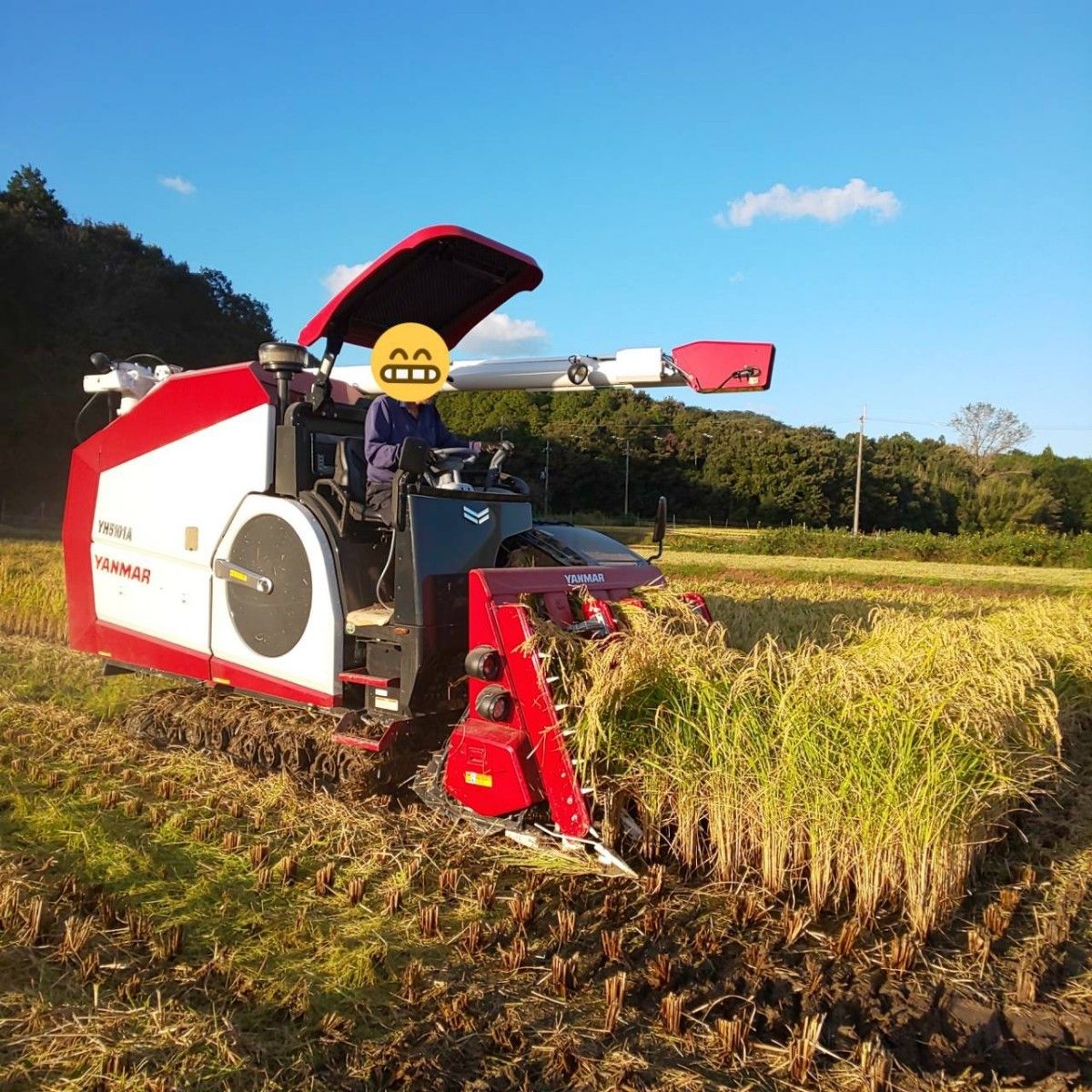 【新鮮で良質】農薬不使用 無化学肥料 除草剤不使用 生ぬか ぬか床 米ぬか