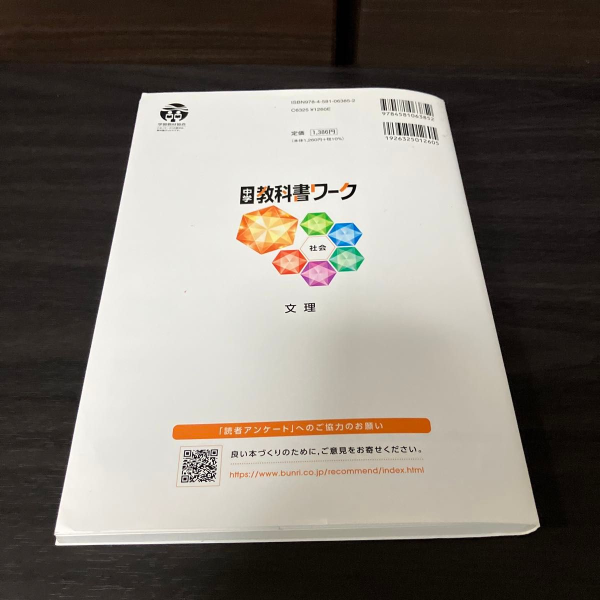 中学教科書ワーク 社会 地理 教育出版版 (オールカラー付録付き)