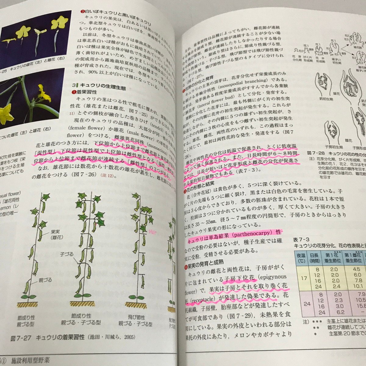 NB/L/農学基礎シリーズ 野菜園芸学の基礎/編著:篠原温/発行:農山漁村文化協会/2020年3月15日第7刷/傷みあり_画像5