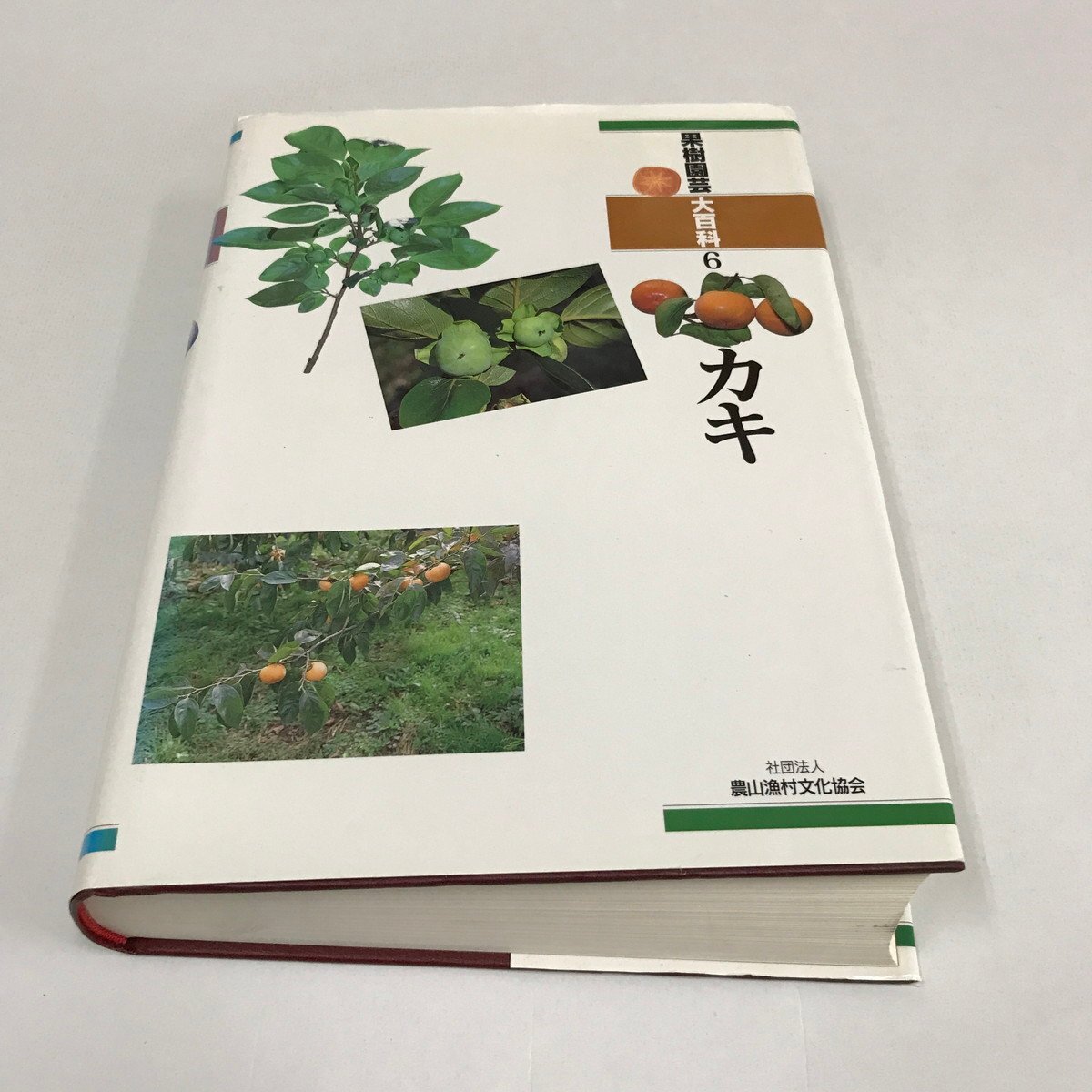 NB/L/ fruit tree gardening large various subjects 6 oyster / agriculture mountain .. culture association /2000 year 3 month 10 day issue / agriculture fruit tree cultivation plant agriculture persimmon / scratch equipped 