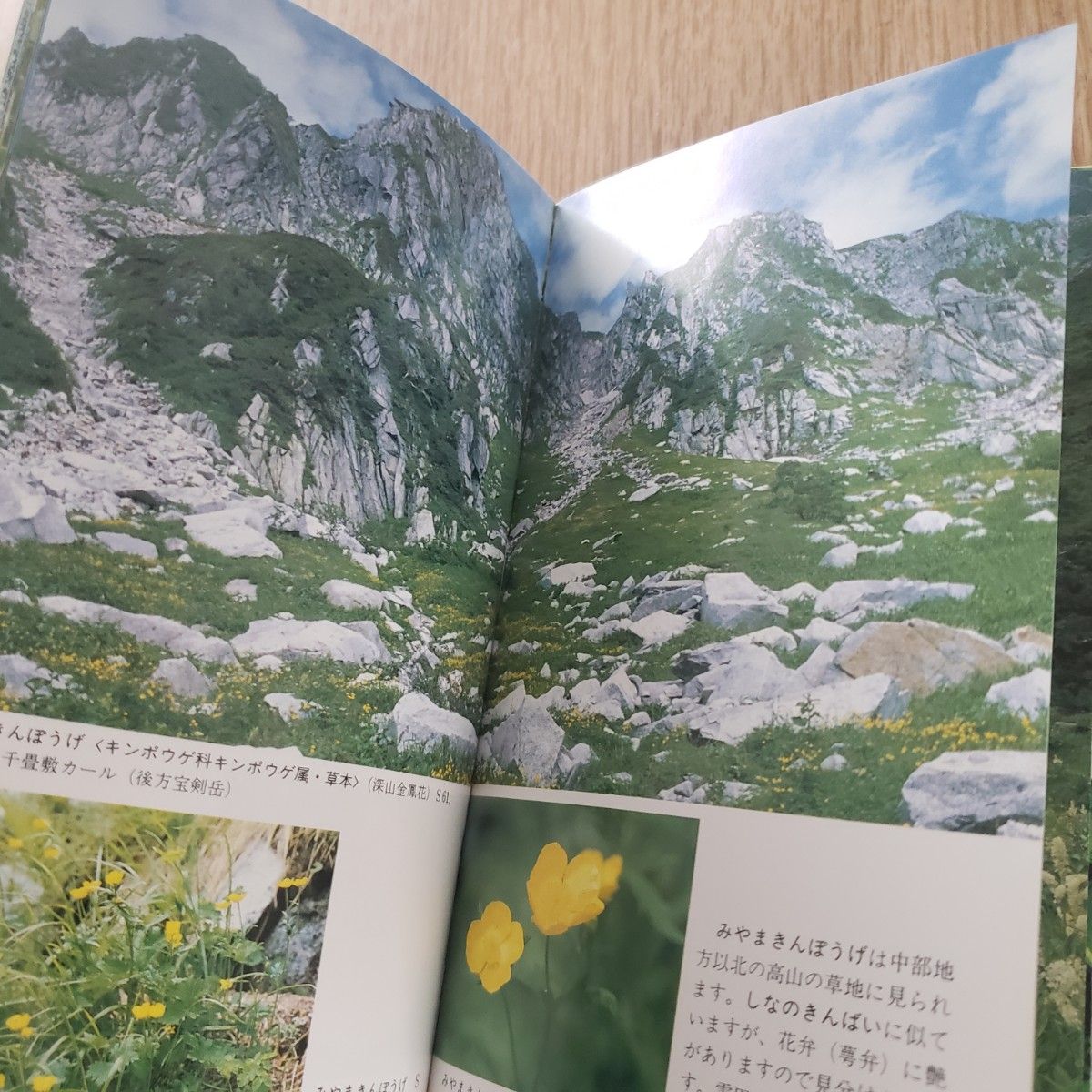 花の中央アルプス 田中豊雄著 ほおずき書籍 高山植物/写真集