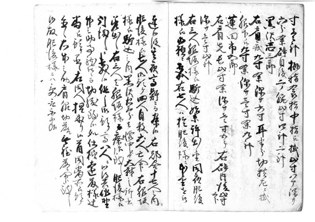 御上言上書+解読文 デジタル古文書桜田門外の変井伊直弼掃部頭喧嘩切り合い門番報告木俣直理上杉弾正大弼松平大隅守