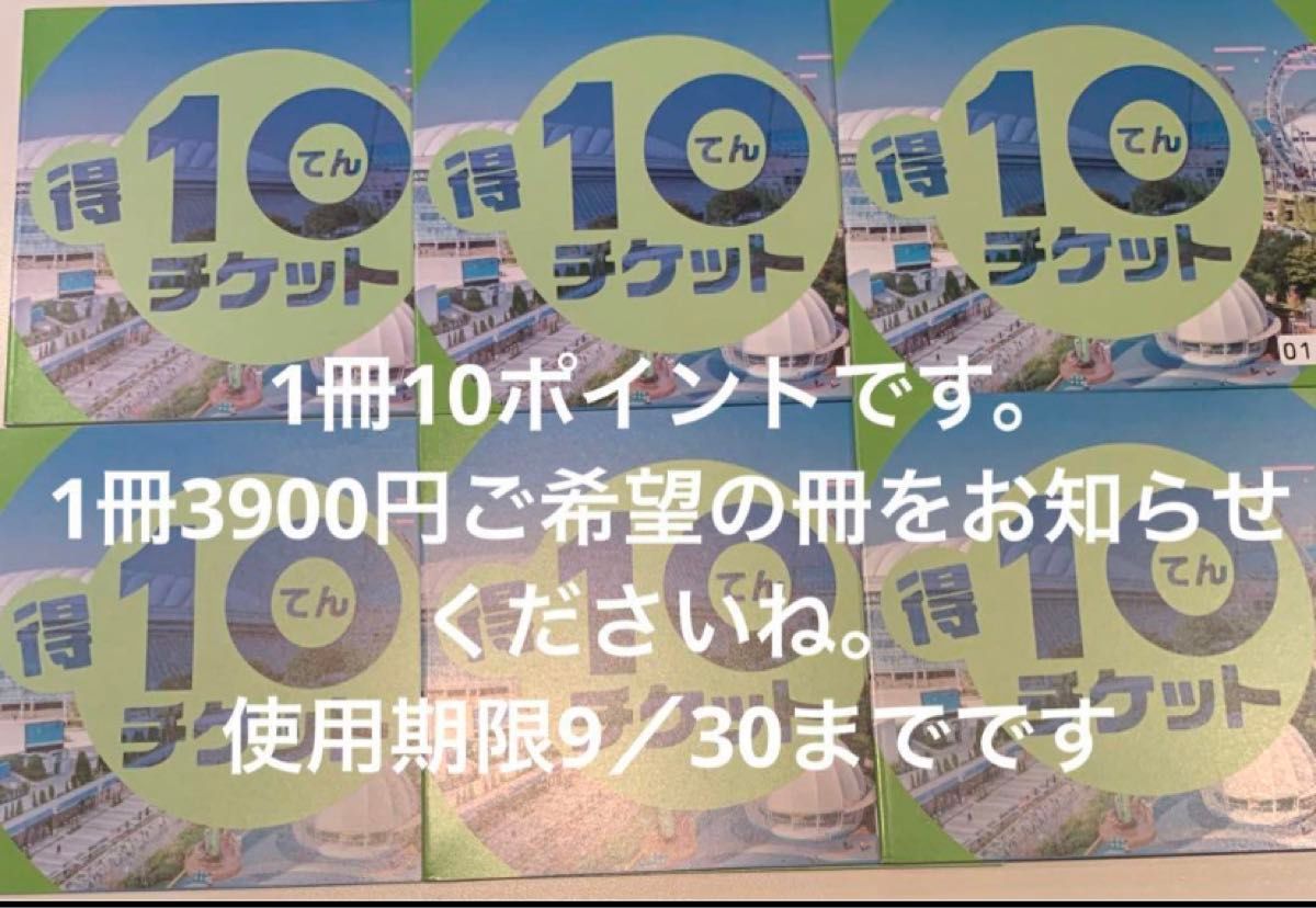 東京ドームシティ　特10チケット　一冊3800円です