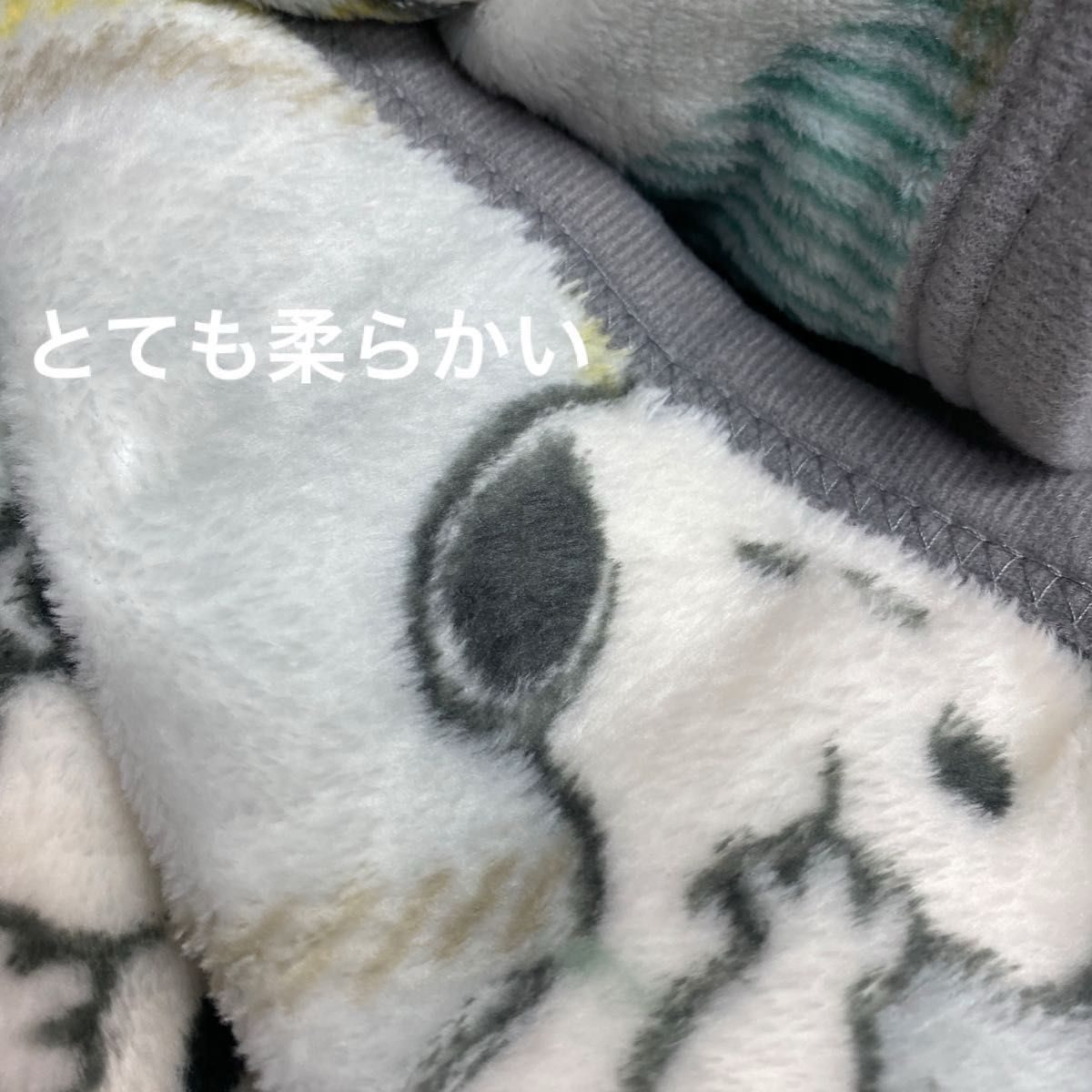 西川　スヌーピー  やわらか毛布