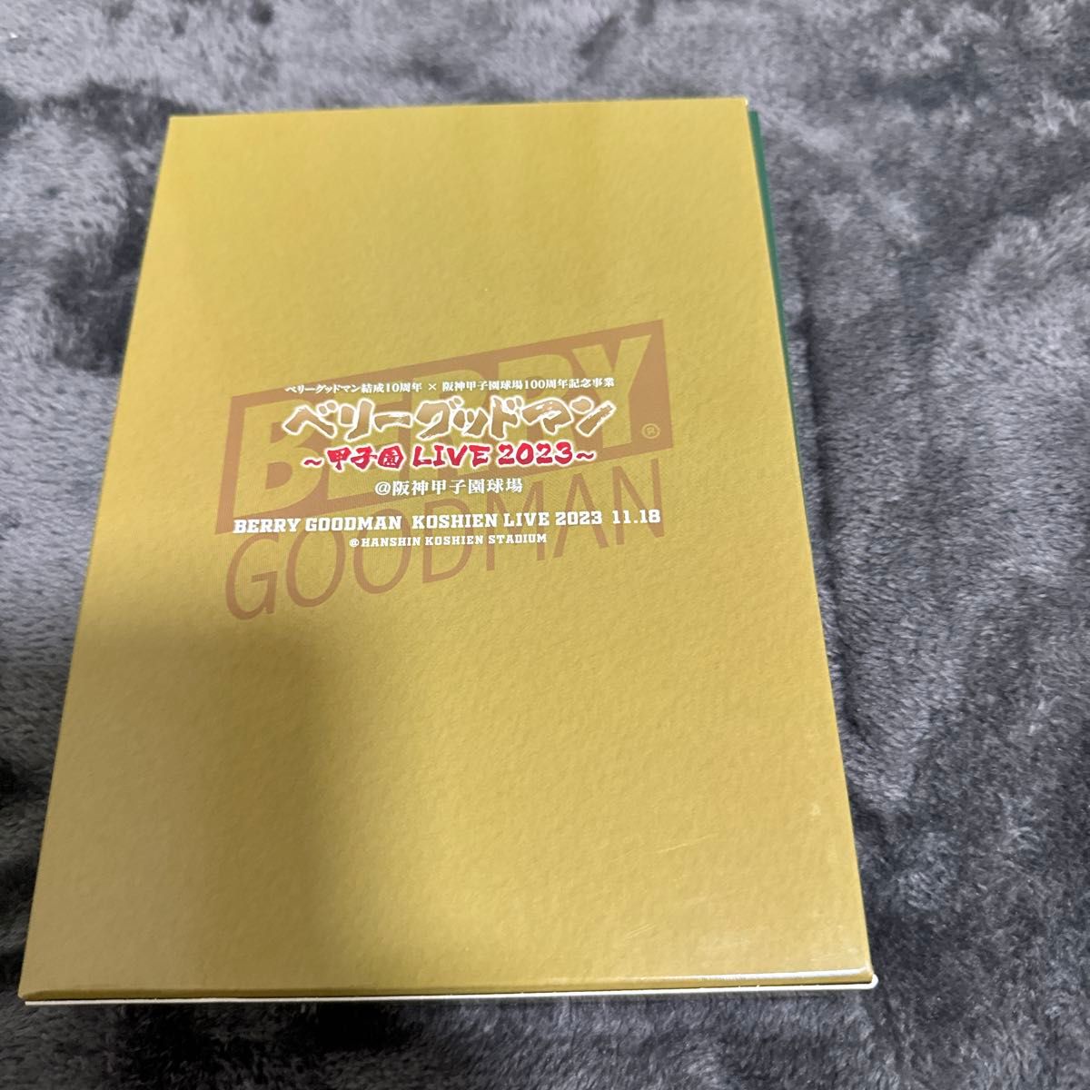 ベリーグッドマン ライブ DVD 甲子園 限定版 