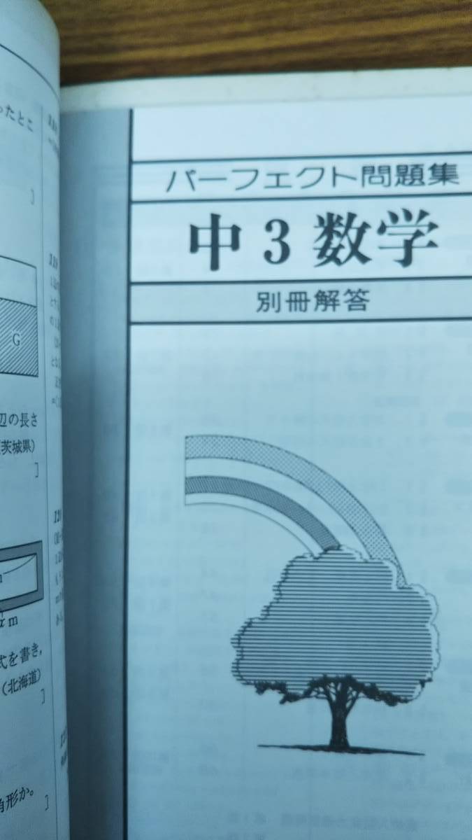 パーフェクト 中３数学　旺文社　 1980年代　参考書　問題集　2冊セット　現在入手困難　絶版学参_画像3