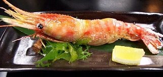 ☆お刺身はもちろん、焼いてもお鍋でも抜群の美味さ！！特大(ＬＬサイズ)冷凍『子持ちボタンエビ』　（税込）_画像5