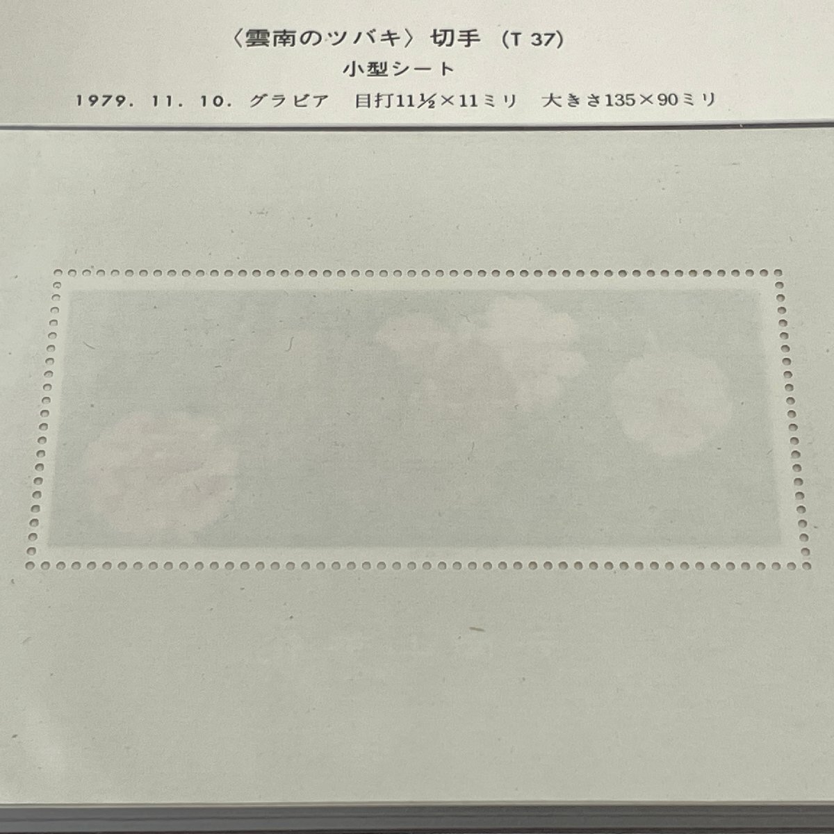 m002 C3(60) 18 中国切手 1円～ 保管品 T37 1979年 雲南のツバキ 小型シート J50 医師ベチューン死去40年記念 2種完 ボストークリーフ付きの画像8