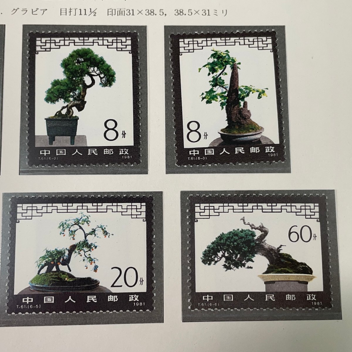 m002 C3(10) 34 China stamp postage 385 jpy storage goods T61 bonsai stamp T63.. cow. stamp 1981 year each 6 kind . Boss to-k leaf attaching 