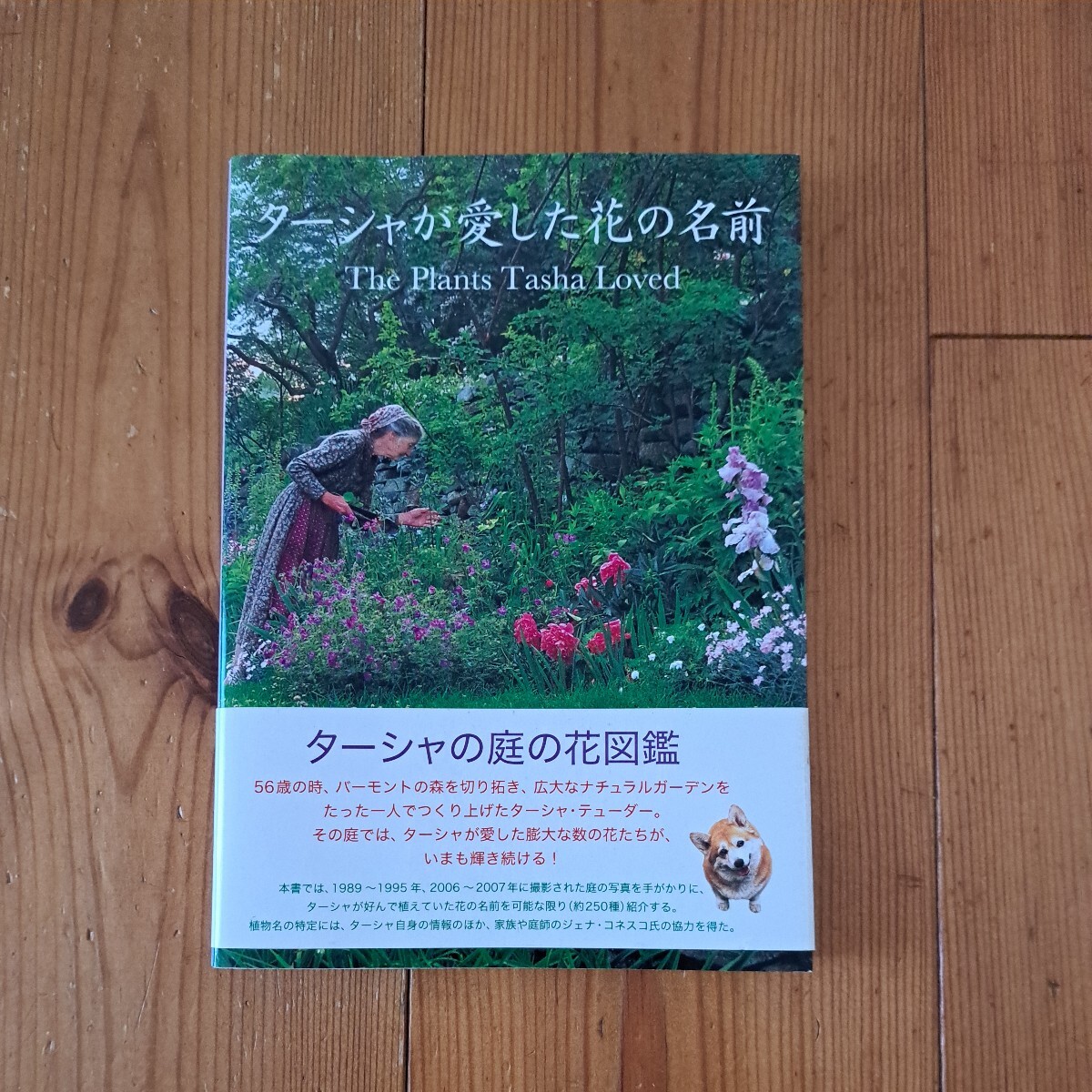 ターシャが愛した花の名前 メディアファクトリー／編　食野雅子／文 （978-4-8401-3909-0）_画像1