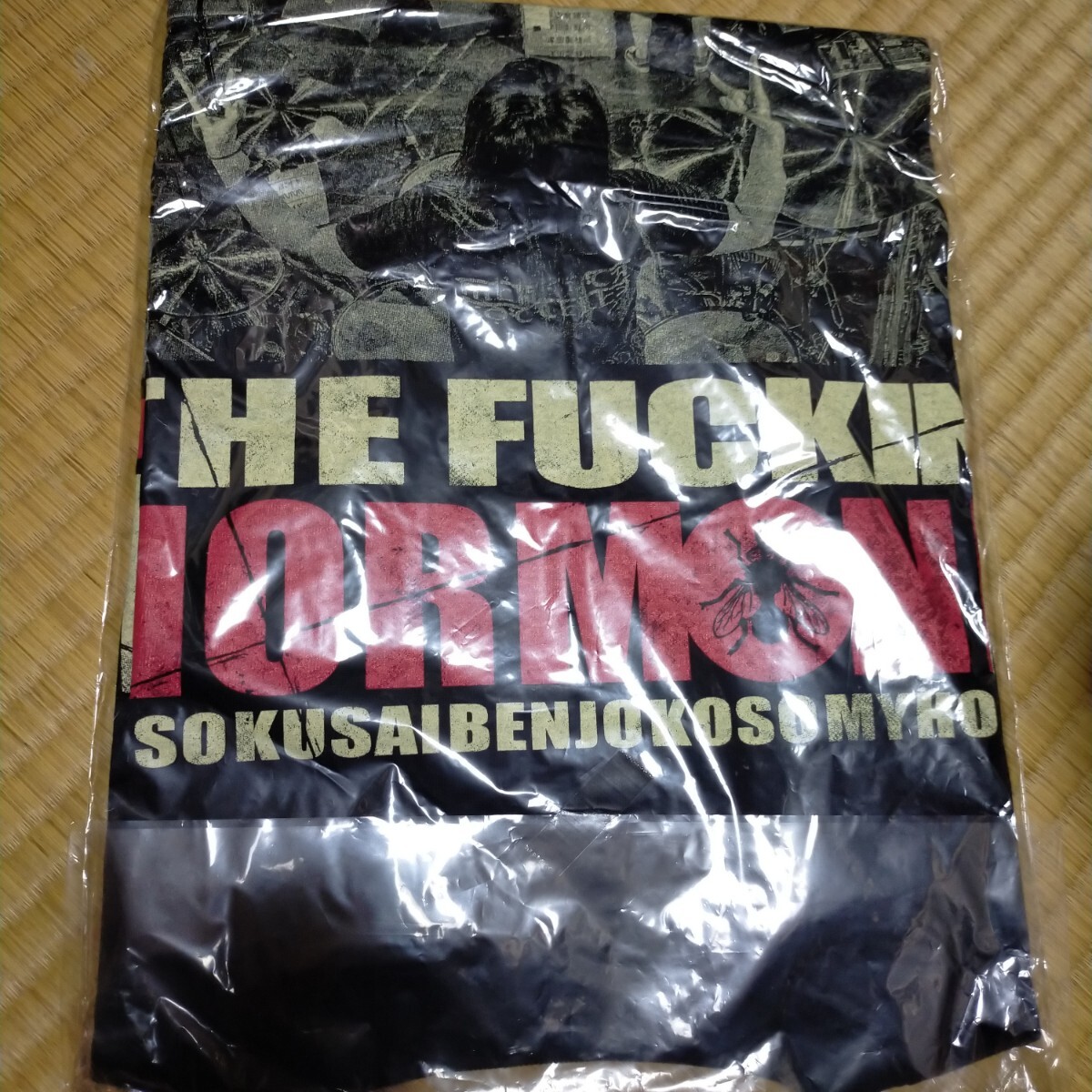 即決送料込●マキシマムザホルモン/ cult of HARAPEKO hae 蠅Tシャツ/Sサイズ/未使用未開封 検)マンウィズ/ELLEGARDEN/MAN WITH A MISSIONの画像3